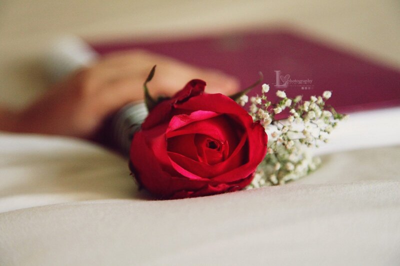 Red Rose with Baby's Breath — Calm, Photograph, Hand