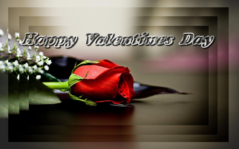 Red Rose with Baby's Breath — Romantic, Photograph