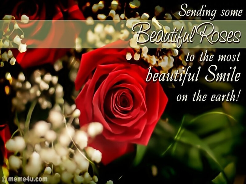 Red Rose with Baby's Breath — Sentimental