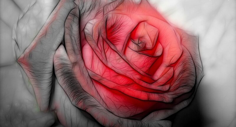 Red Rose with Black Outlines