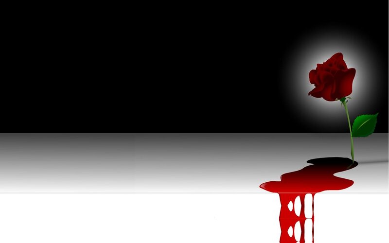 Red Rose with Blood — Black