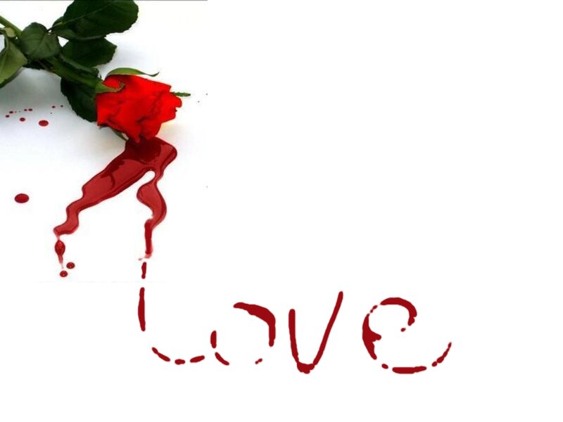 Red Rose with Blood — Dramatic