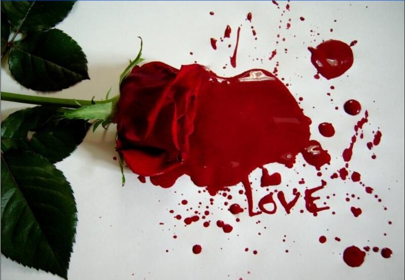 Red rose with blood splatter