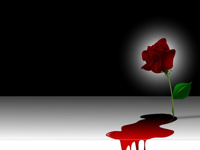 Red Rose with Blood