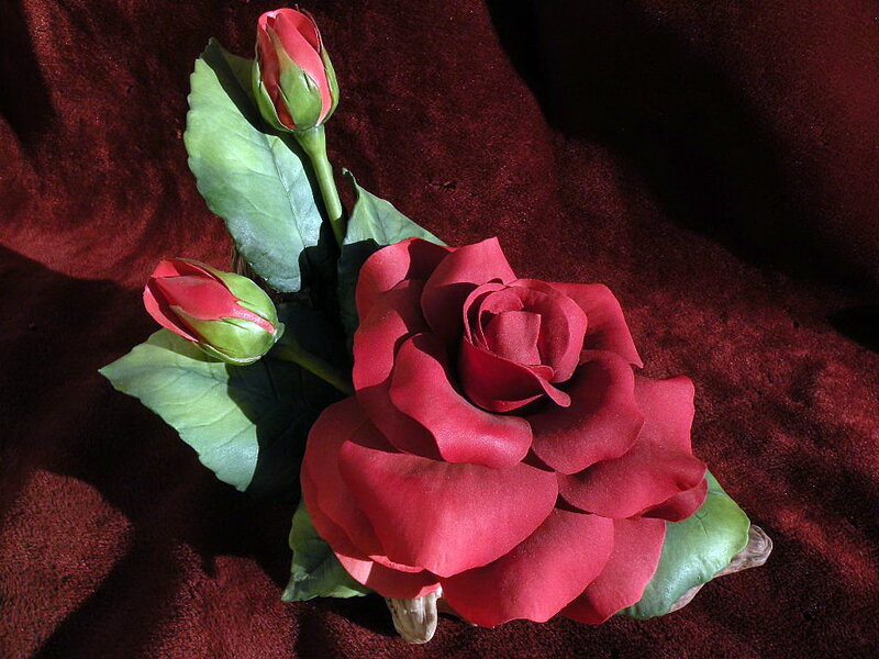 Red Rose with Buds — Dramatic, Photograph