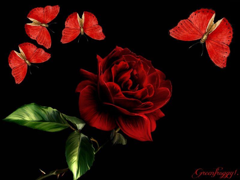 Red Rose with Butterflies — Dramatic, Digital Art, Leaves