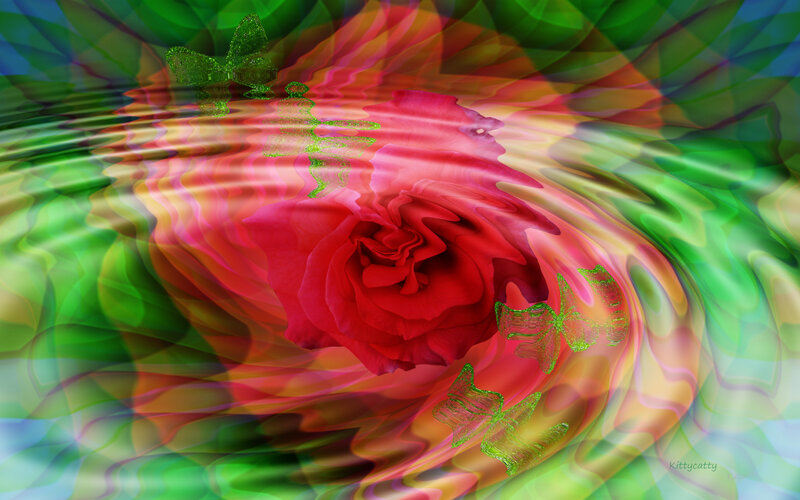 Red Rose with Butterflies — Dreamy