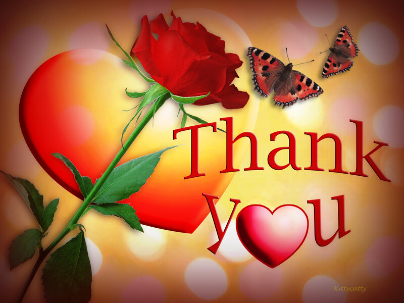 Red Rose with Butterflies — Warm