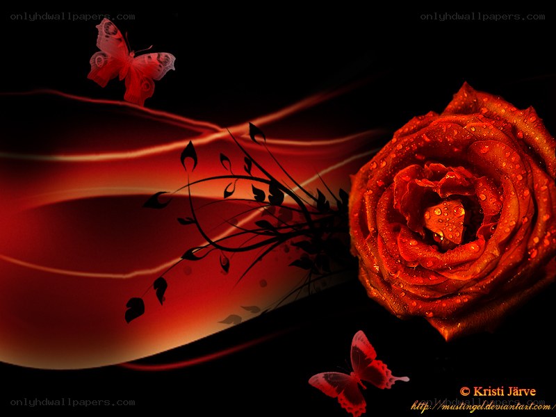 Red rose with butterflies