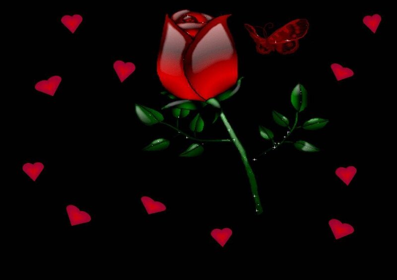 Red Rose with Butterfly — Black