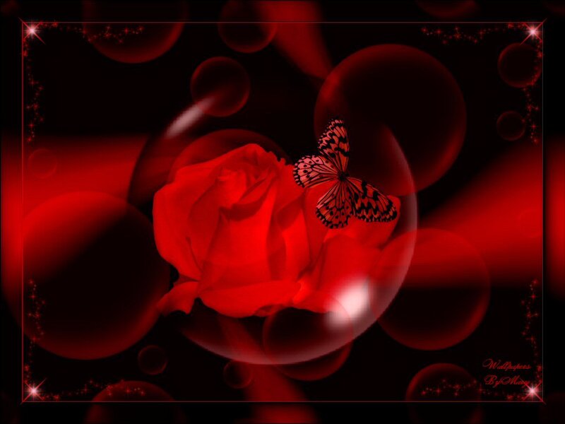 Red Rose with Butterfly — Dramatic, Digital Art
