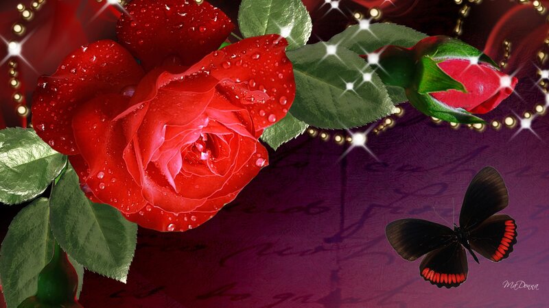 Red Rose with Butterfly — Romantic