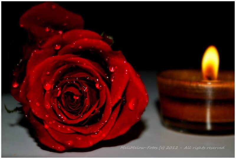 Red Rose with Candle — Dramatic, Night