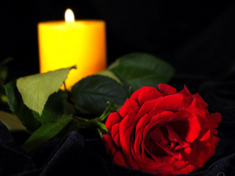 Red Rose with Candle — Dramatic