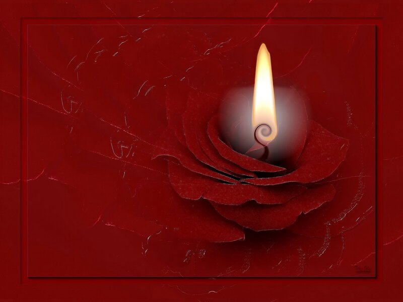 Red rose with candle flame