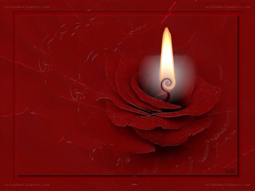 Red rose with candle flame