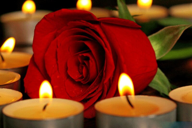 Red Rose with Candles — Calm