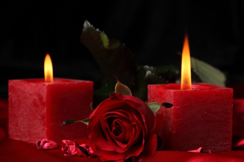Red Rose with Candles — Romantic, Night, Photograph, Petals