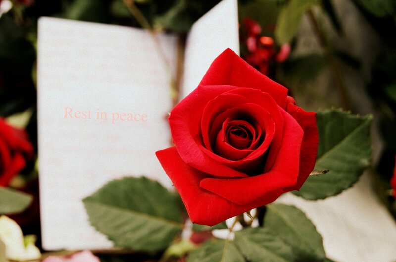 Red Rose with Card