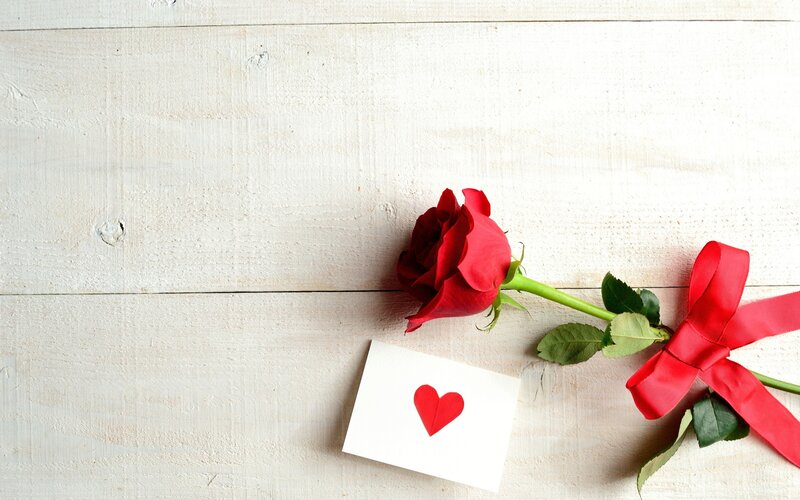 Red Rose with Card — White
