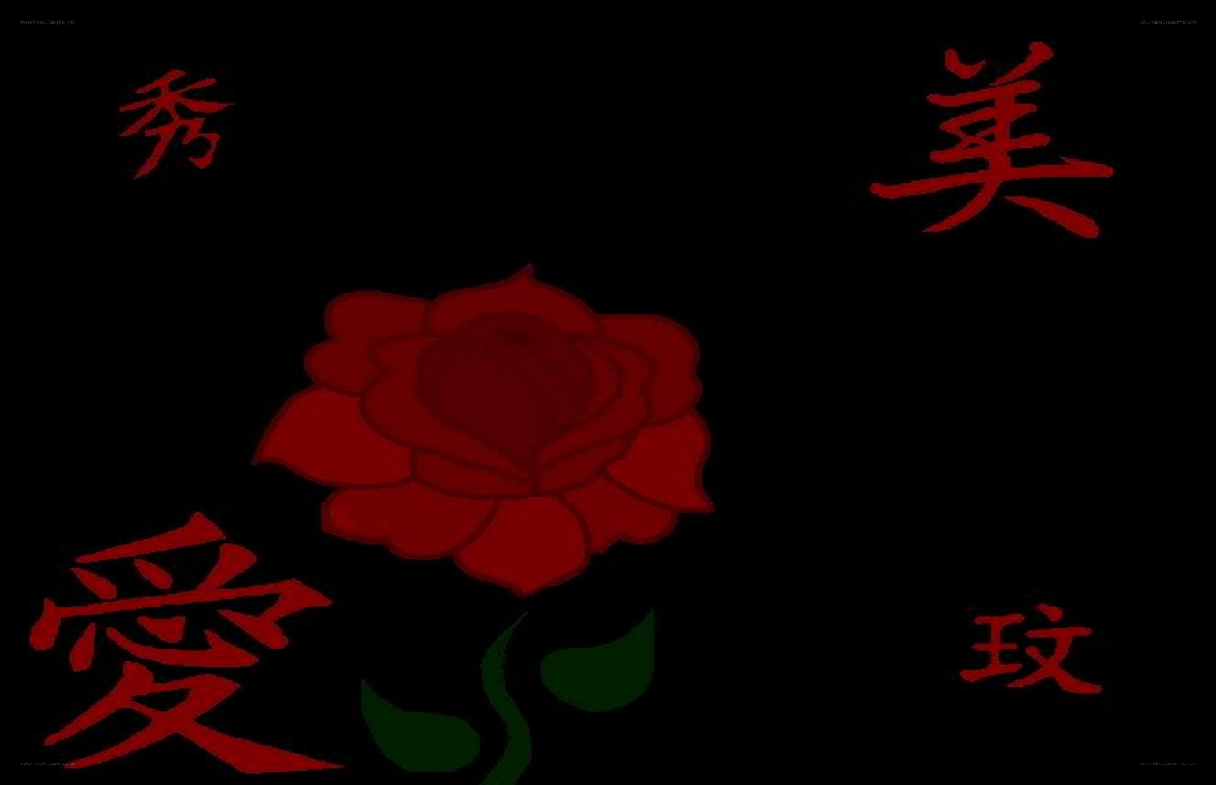 Red rose with Chinese characters