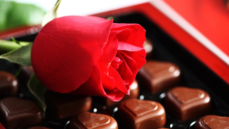 Red Rose with Chocolates — Romantic, Photograph, Box