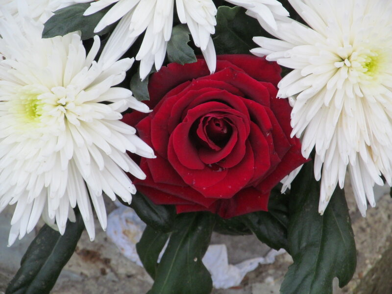 Red Rose with Chrysanthemums