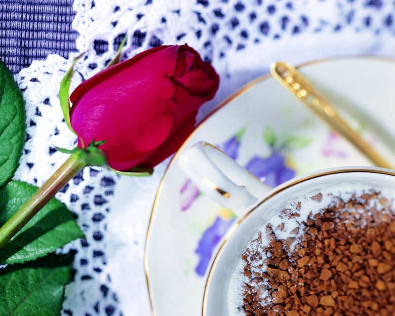 Red rose with coffee cup