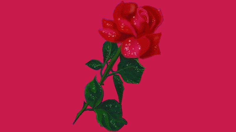 Red Rose with Dew — Calm, Digital Art