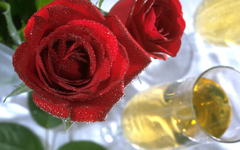Red Rose with Dew — Calm, Photograph, Wine Glass