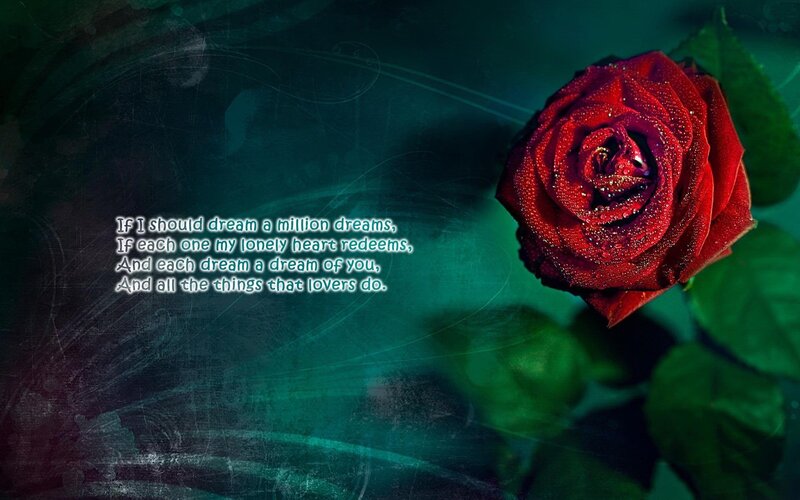 Red Rose with Dew — Romantic, Photograph