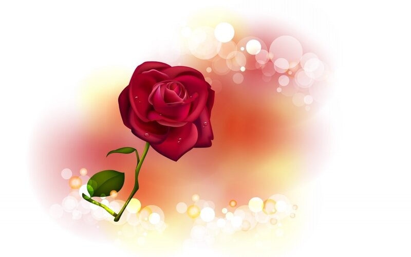 Red Rose with Dewdrops — Romantic, Digital Art, Stem