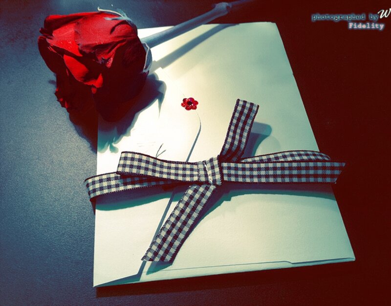 Red Rose with Envelope — Romantic