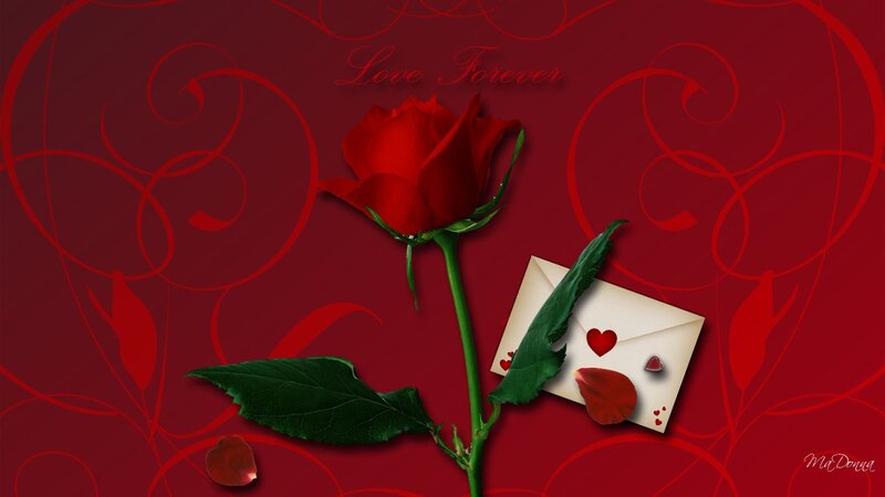 Red Rose with Envelope