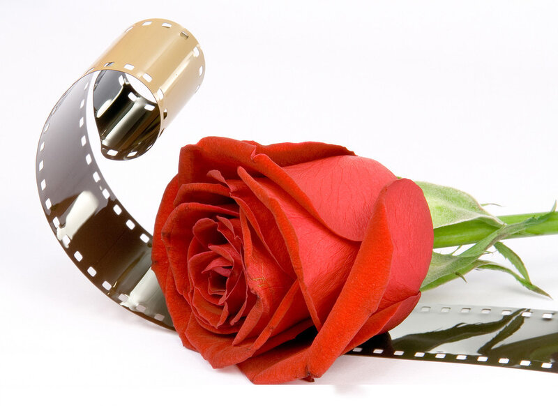 Red Rose with Film Strip