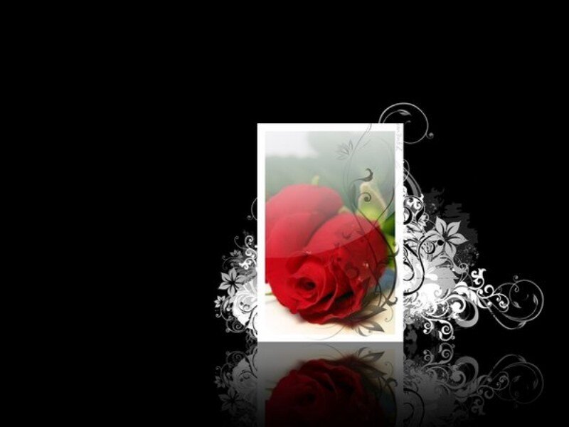 red rose with floral design