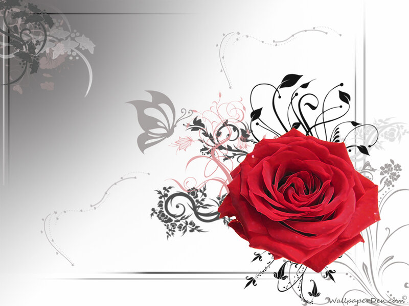 Red Rose with Floral Design — Elegant