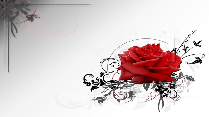 Red Rose with Floral Design — Elegant, Vector Art