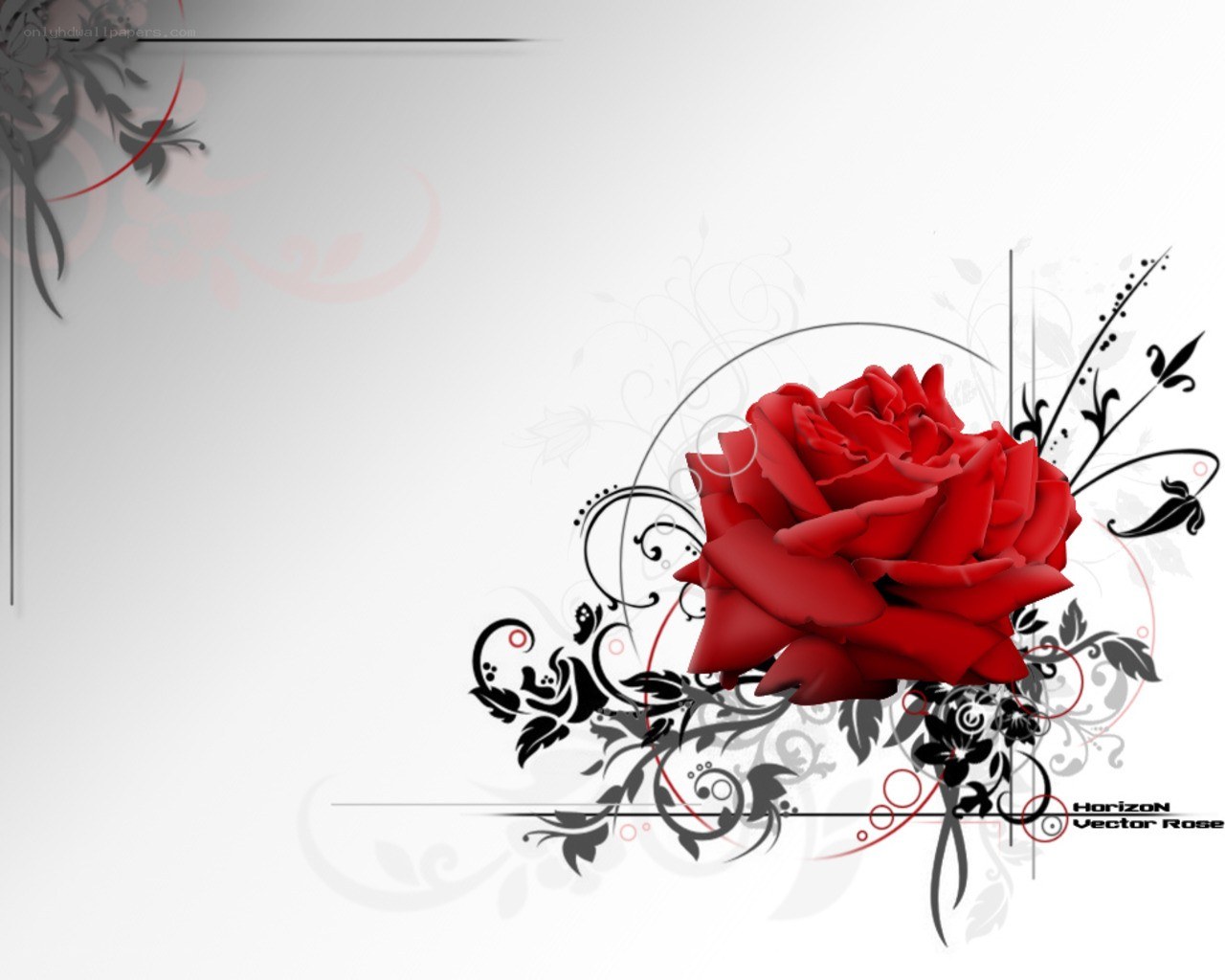 Red rose with floral design