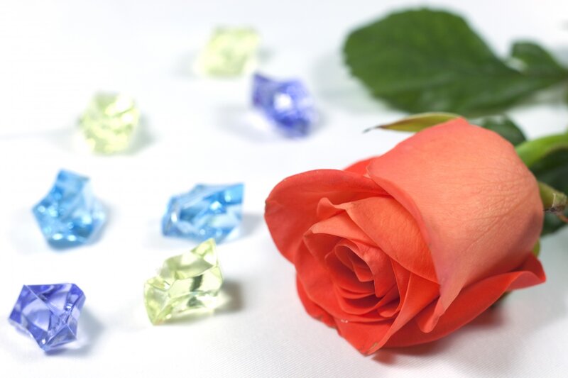 Red Rose with Gems