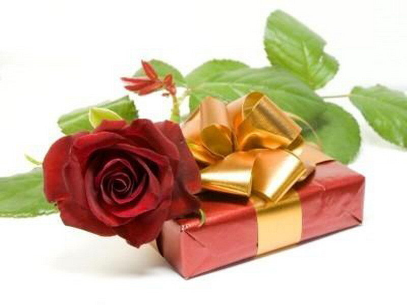 Red rose with gift box