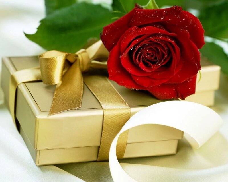 Red Rose with Gift Box — Romantic, Photograph, Gift Box, Ribbon