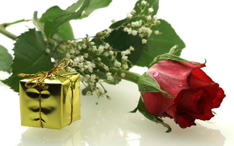 Red Rose with Gift Box — Romantic