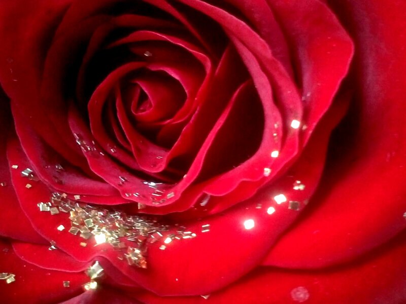 Red Rose with Glitter — Dramatic, Photograph
