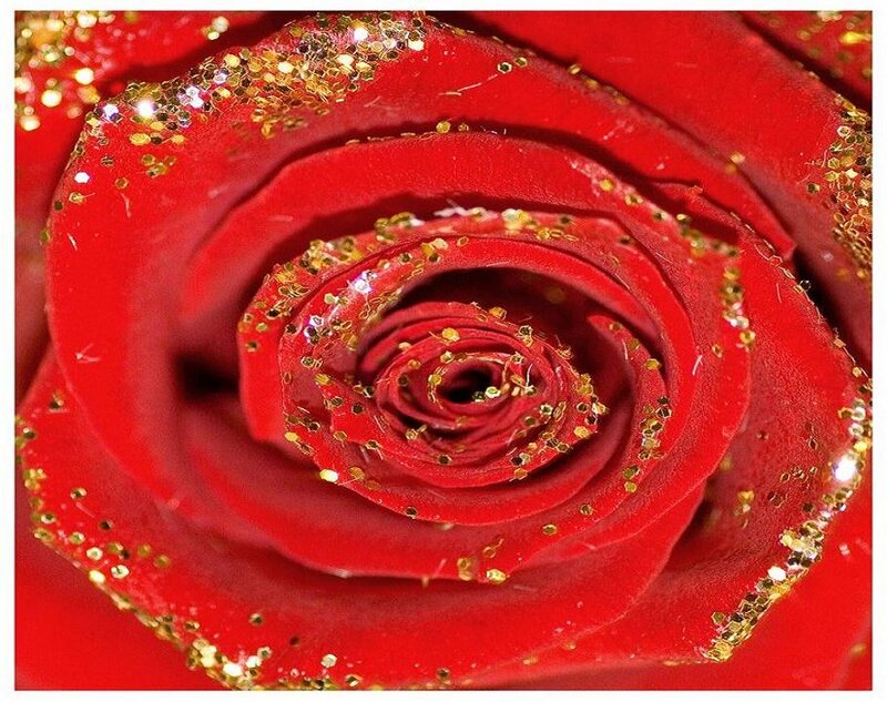 Red Rose with Glitter — Festive
