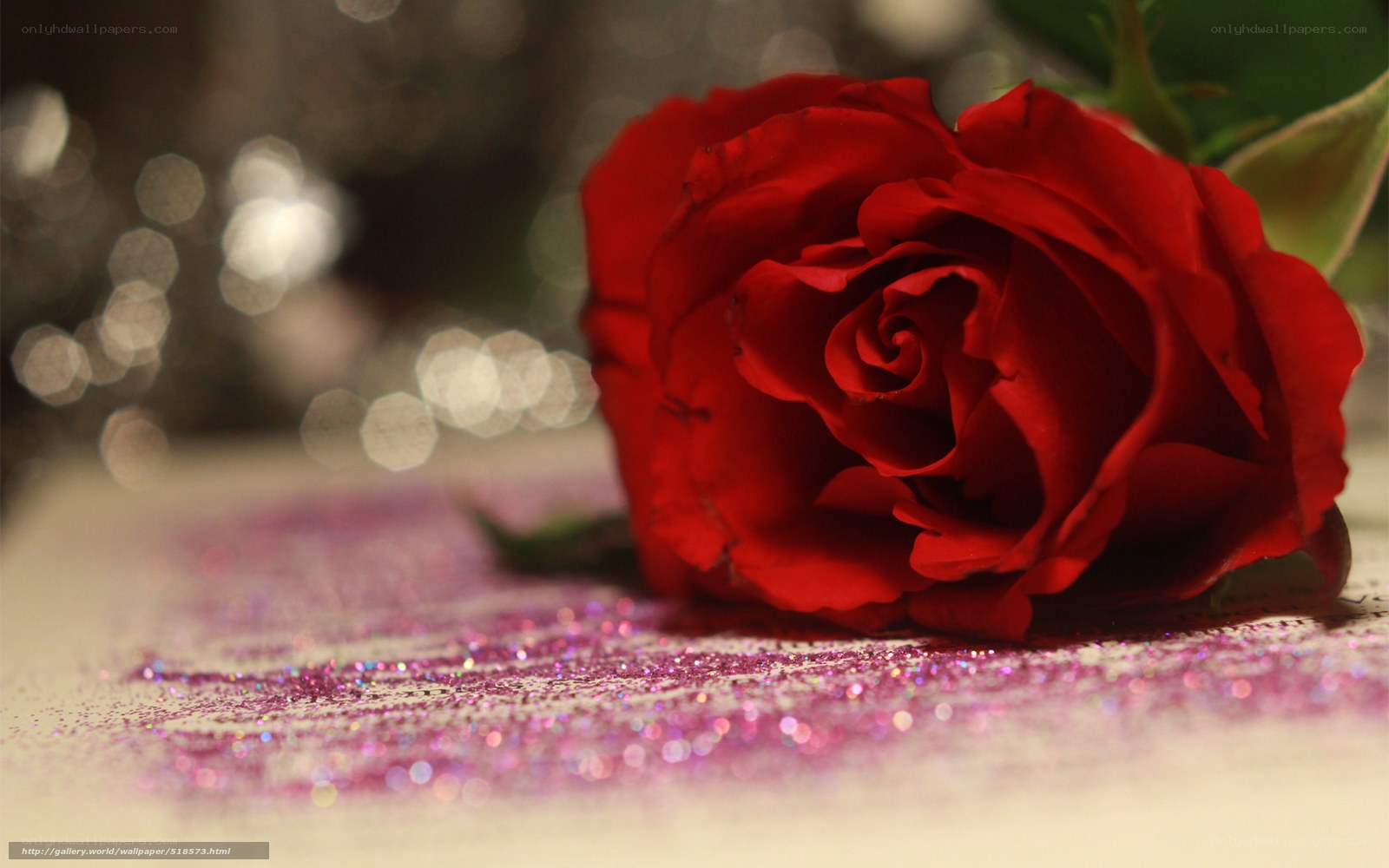 Red rose with glitter