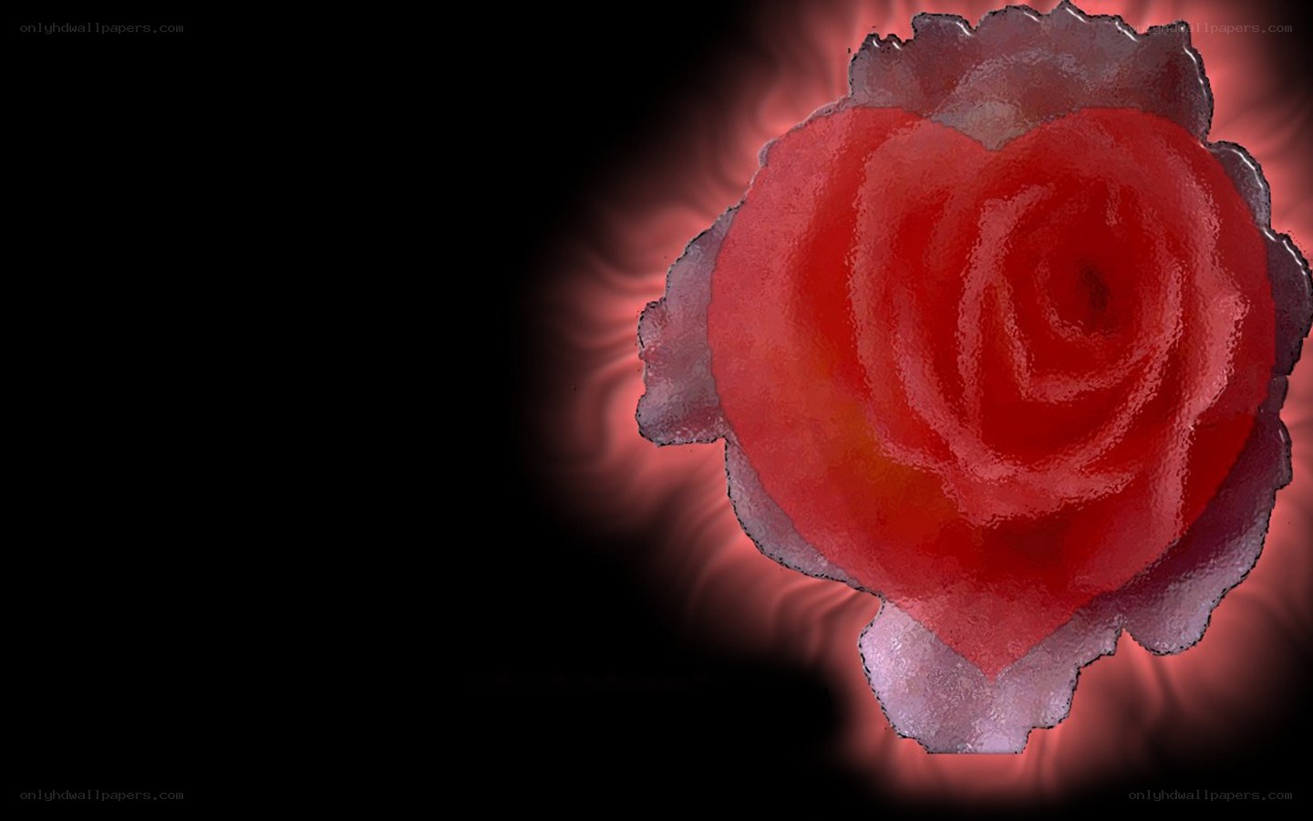 red rose with glowing aura