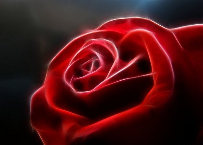 Red Rose with Glowing Edges — Dramatic, Digital Art, Glowing Lines