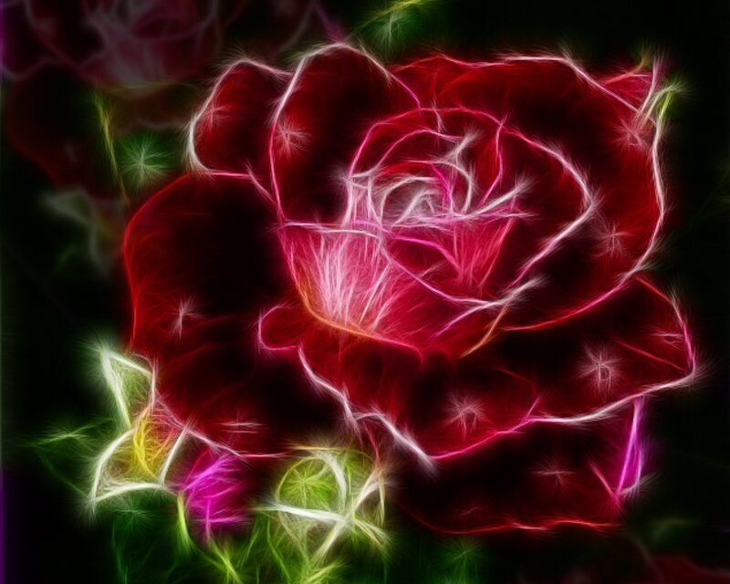 Red Rose with Glowing Edges — Dramatic