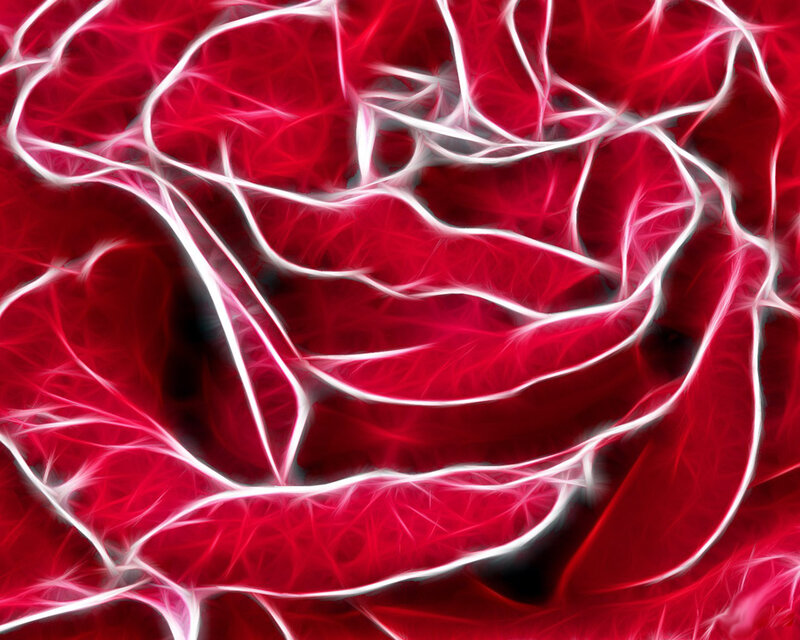 Red Rose with Glowing Lines — Dramatic